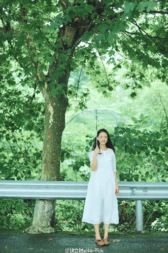 最新电视剧2025热播最火剧免费观看